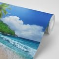 SELF ADHESIVE WALL MURAL BEAUTIFUL BEACH ON THE ISLAND OF SEYCHELLES - WALLPAPERS - 🔥 TOTAL SALE 🔥
