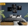 CANVAS PRINT SET ANIMALS IN BLACK AND WHITE STYLE - SET OF PICTURES - PICTURES