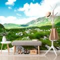 WALL MURAL VALLEY IN MONTENEGRO - WALLPAPERS NATURE - WALLPAPERS