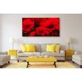 CANVAS PRINT BEAUTIFUL FIELD OF POPPIES - PICTURES FLOWERS - PICTURES