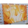 CANVAS PRINT ABSTRACT DANDELION - PICTURES FLOWERS - PICTURES