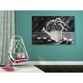 CANVAS PRINT ROSE IN A WATERING CAN IN BLACK AND WHITE - BLACK AND WHITE PICTURES - PICTURES