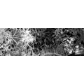 CANVAS PRINT BLACK AND WHITE ABSTRACT ART - BLACK AND WHITE PICTURES - PICTURES