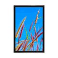 POSTER WILD GRASS UNDER BLUE SKY - NATURE - POSTERS