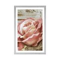 POSTER MIT PASSEPARTOUT ELEGANTE VINTAGE-ROSE - BLUMEN - POSTER