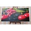 IMPRESSION SUR TOILE D'UNE NATURE MORTE ZEN APAISANTE - IMPRESSIONS SUR TOILE FENG SHUI - IMPRESSION SUR TOILE