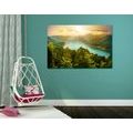 CANVAS PRINT RIVER IN THE MIDDLE OF A GREEN FOREST - PICTURES OF NATURE AND LANDSCAPE - PICTURES