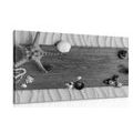 CANVAS PRINT SEA TREASURES ON WOOD IN BLACK AND WHITE - BLACK AND WHITE PICTURES{% if product.category.pathNames[0] != product.category.name %} - PICTURES{% endif %}