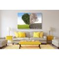 CANVAS PRINT TREE IN TWO FORMS - PICTURES OF NATURE AND LANDSCAPE{% if product.category.pathNames[0] != product.category.name %} - PICTURES{% endif %}