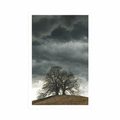POSTER LONELY TREES - NATURE - POSTERS