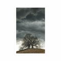 AFFICHE ARBRES SOLITAIRES - NATURE - AFFICHES