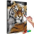 PICTURE PAINTING BY NUMBERS FRIENDLY TIGER - PAINTING BY NUMBERS{% if kategorie.adresa_nazvy[0] != zbozi.kategorie.nazev %} - PAINTING BY NUMBERS{% endif %}