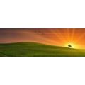 CANVAS PRINT TREE ON THE MEADOW - PICTURES OF NATURE AND LANDSCAPE - PICTURES