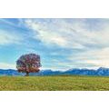 SELBSTKLEBENDE FOTOTAPETE PANORAMA DER BERGE - SELBSTKLEBENDE TAPETEN - TAPETEN