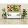 CANVAS PRINT YIN AND YANG IN ECO DESIGN - PICTURES FENG SHUI - PICTURES