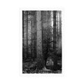 POSTER SECRET OF THE FOREST IN BLACK AND WHITE - BLACK AND WHITE - POSTERS