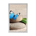 POSTER BLAUER SCHMETTERLING AUF ZEN-STEIN - FENG SHUI{% if product.category.pathNames[0] != product.category.name %} - GERAHMTE POSTER{% endif %}