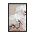 POSTER WHITE ORCHID ON A CANVAS - FLOWERS - POSTERS