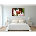 CANVAS PRINT MEADOW OF TULIPS IN RETRO STYLE - PICTURES FLOWERS - PICTURES