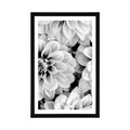 AFFICHE AVEC MONTURE FLEURS DE DAHLIA EN NOIR ET BLANC - FLEURS - AFFICHES