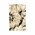 POSTER DAHLIA FLOWERS IN SEPIA DESIGN - BLACK AND WHITE - POSTERS