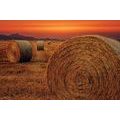 CANVAS PRINT HAY BALES - PICTURES OF NATURE AND LANDSCAPE - PICTURES