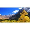 CANVAS PRINT BEAUTIFUL NATURE IN KAMCHATKA IN RUSSIA - PICTURES OF NATURE AND LANDSCAPE - PICTURES