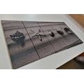 5-PIECE CANVAS PRINT SEASHELLS ON A SANDY BEACH IN BLACK AND WHITE - BLACK AND WHITE PICTURES - PICTURES