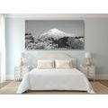 CANVAS PRINT MOUNT FUJI IN BLACK AND WHITE - BLACK AND WHITE PICTURES - PICTURES