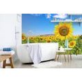 PAPIER PEINT AUTOCOLLANT CHAMP DE TOURNESOLS - PAPIERS PEINTS AUTOCOLLANTS - PAPIER PEINT