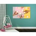 CANVAS PRINT MACARONS IN A CONE - PICTURES OF FOOD AND DRINKS - PICTURES