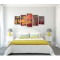 5-PIECE CANVAS PRINT ORANGE LILY BLOSSOM - PICTURES FLOWERS - PICTURES