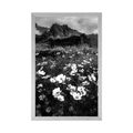 POSTER MEADOW OF BLOOMING FLOWERS IN BLACK AND WHITE - BLACK AND WHITE - POSTERS