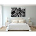 CANVAS PRINT BLACK AND WHITE MANDALA - BLACK AND WHITE PICTURES{% if product.category.pathNames[0] != product.category.name %} - PICTURES{% endif %}