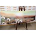 CANVAS PRINT PANORAMA OF A BLOOMING MEADOW - PICTURES OF NATURE AND LANDSCAPE - PICTURES