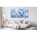 CANVAS PRINT BLUE-WHITE HYDRANGEA FLOWERS - PICTURES FLOWERS - PICTURES