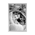 POSTER BLACK AND WHITE FLOWER PETALS - BLACK AND WHITE - POSTERS