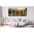 5-PIECE CANVAS PRINT NATURE BATHED IN THE SUN - PICTURES OF NATURE AND LANDSCAPE - PICTURES