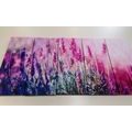 5-PIECE CANVAS PRINT MAGICAL LAVENDER FLOWERS - PICTURES FLOWERS - PICTURES