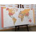 DECORATIVE PINBOARD DETAILED MAP OF THE WORLD - PICTURES ON CORK - PICTURES