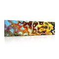 CANVAS PRINT COLORED ABSTRACTION - ABSTRACT PICTURES - PICTURES