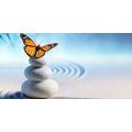 CANVAS PRINT BALANCE OF STONES AND A BUTTERFLY - PICTURES FENG SHUI - PICTURES