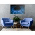 CANVAS PRINT BLUE GERBERA ON A DARK BACKGROUND - PICTURES FLOWERS - PICTURES