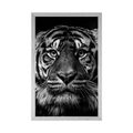 AFFICHE TIGRE EN NOIR ET BLANC - NOIR ET BLANC - AFFICHES