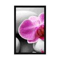 POSTER ORCHID FLOWERS ON WHITE STONES - FENG SHUI - POSTERS