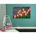 CANVAS PRINT CHARMING ORANGE TULIPS ON A WOODEN BACKGROUND - PICTURES FLOWERS - PICTURES