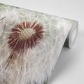 SELF ADHESIVE WALL MURAL BEAUTIFUL DETAIL OF A DANDELION - SELF-ADHESIVE WALLPAPERS - WALLPAPERS