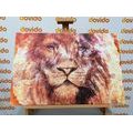 CANVAS PRINT LION'S FACE - PICTURES OF ANIMALS - PICTURES