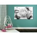 CANVAS PRINT LUXURY ROSE WITH AN ABSTRACTION IN BLACK AND WHITE - BLACK AND WHITE PICTURES - PICTURES