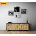 CANVAS PRINT SET FOR HORSE LOVERS IN BLACK AND WHITE - SET OF PICTURES - PICTURES